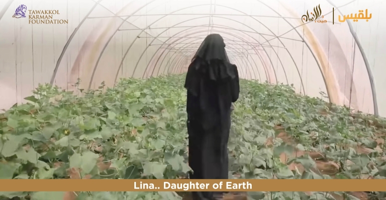 TKF establishes greenhouse-turned-vegetable-farm in Taiz